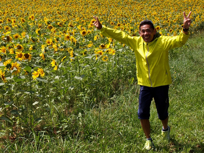 ひまわり娘│作.AC北海道